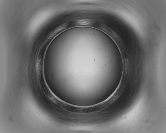 X0000111601438200907161544