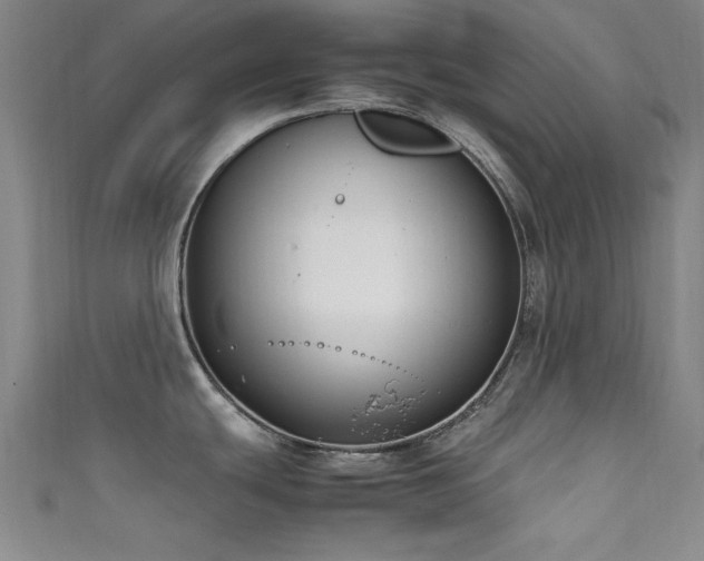 X0000111601439200907161544