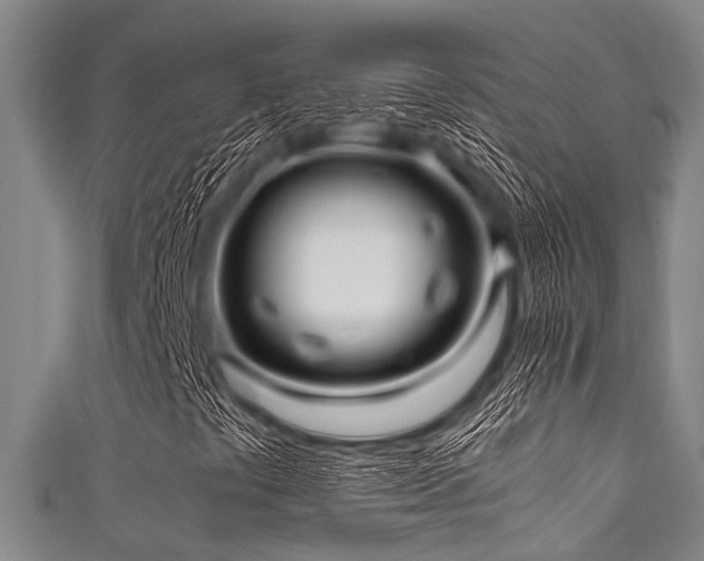 X0000111601441200907161543