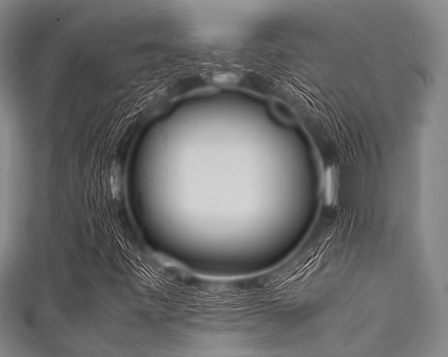 X0000111601443200907161543