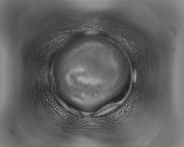 X0000111601444200907161543