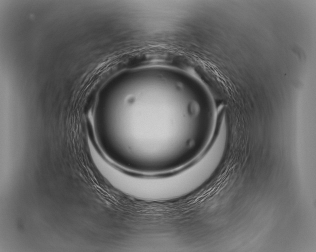 X0000111601445200907161543