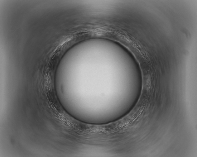 X0000111601446200907161543