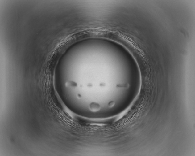 X0000111601447200907161543