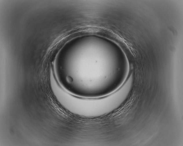 X0000111601448200907161543