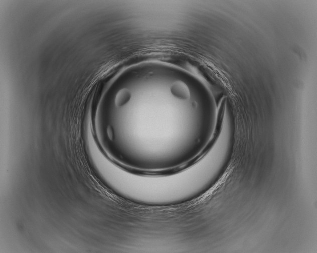 X0000111601449200907161543