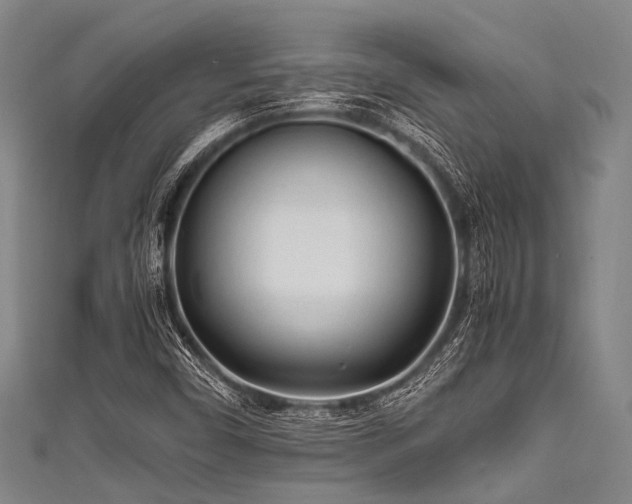 X0000111601450200907161543