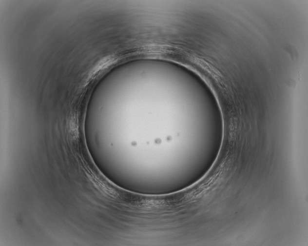 X0000111601451200907161543
