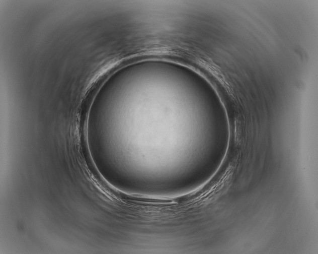 X0000111601452200907161543