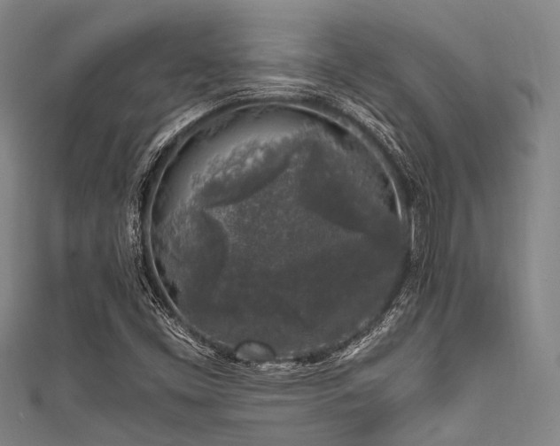 X0000111601453200907161543