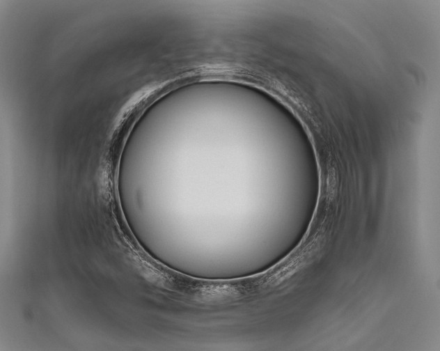 X0000111601454200907161543