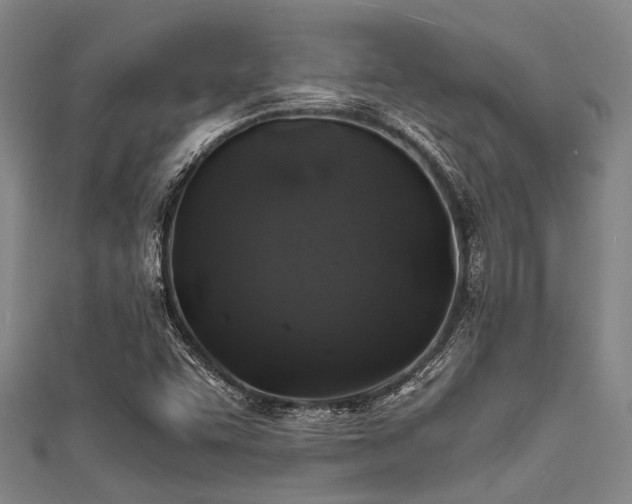 X0000111601455200907161543