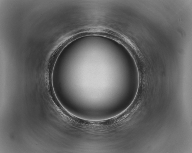 X0000111601456200907161543