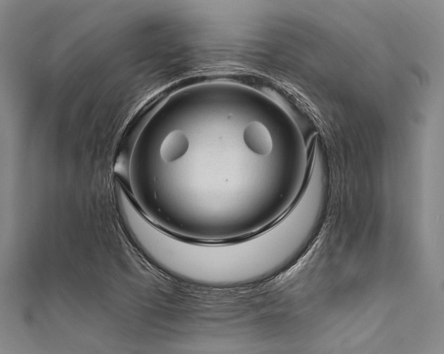 X0000111601457200907161543
