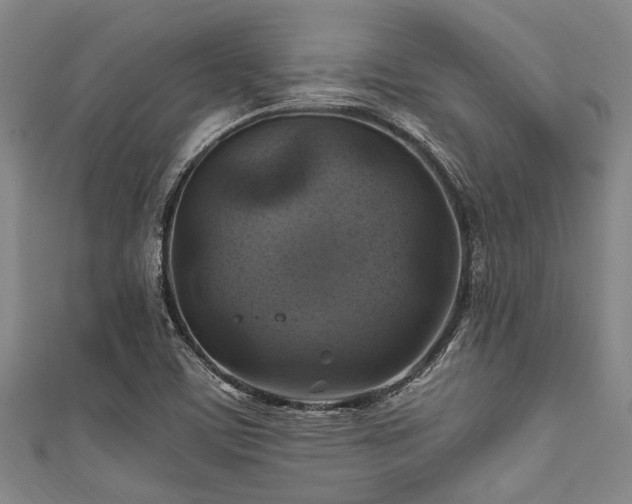 X0000111601459200907161543