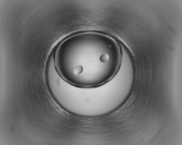 X0000111601460200907161543