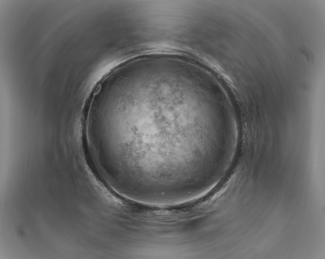 X0000111601463200907161543