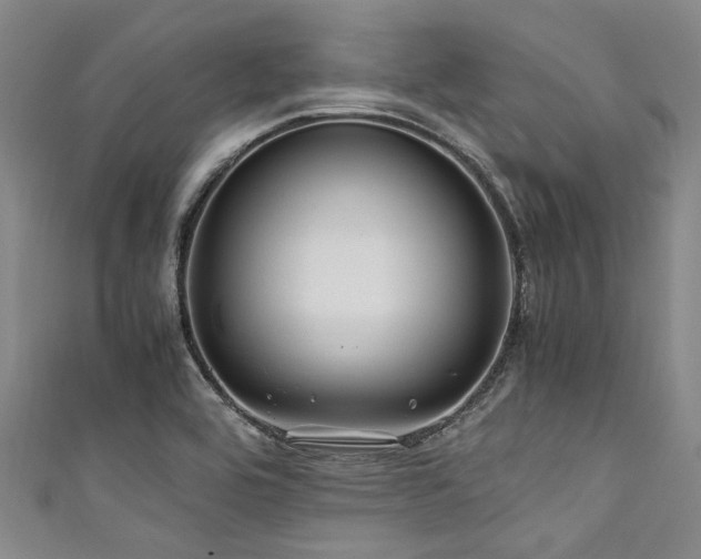 X0000111601464200907161543