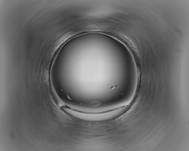 X0000111601465200907161543