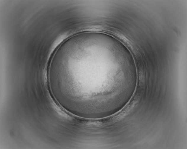 X0000111601466200907161543