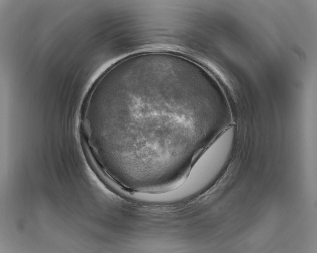 X0000111601468200907161543