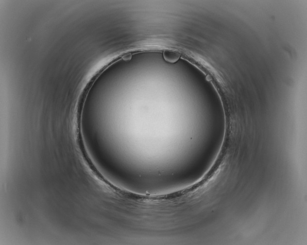 X0000111601469200907161543