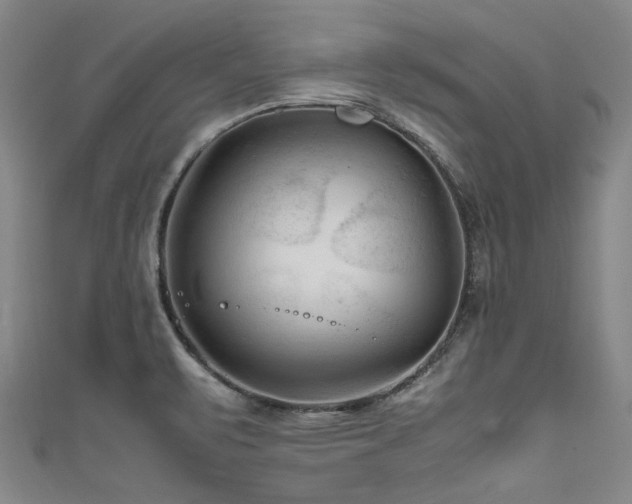 X0000111601471200907161543