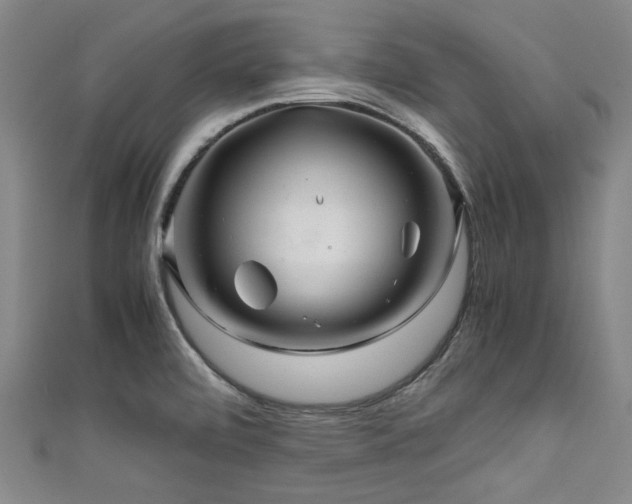 X0000111601472200907161543