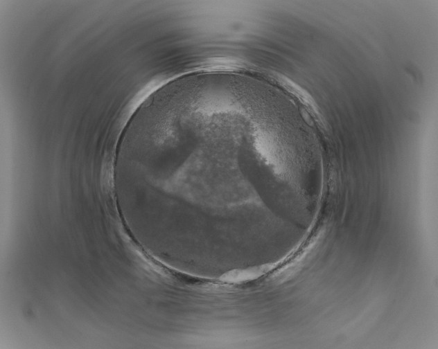 X0000111601473200907161543