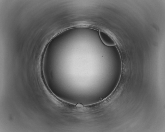 X0000111601475200907161543