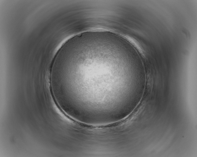 X0000111601476200907161543