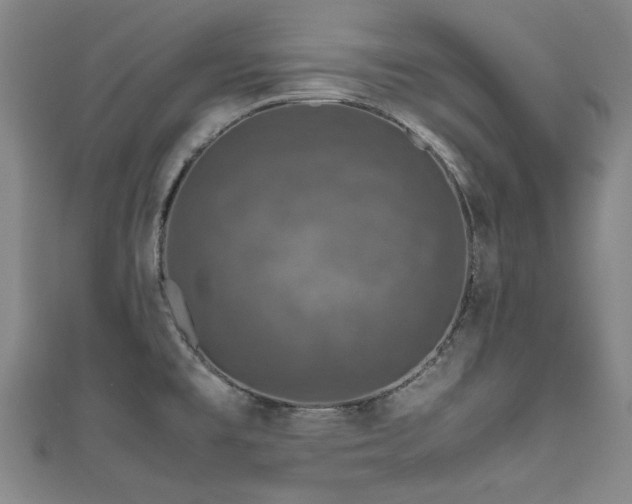 X0000111601477200907161543