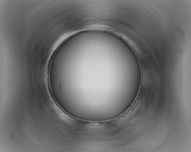 X0000111601478200907161543