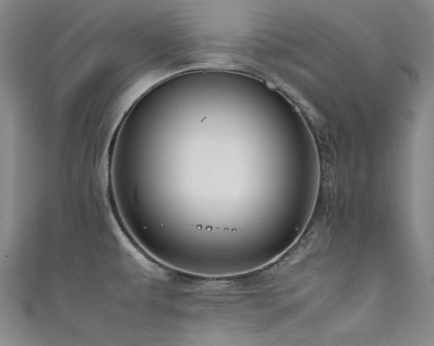 X0000111601479200907161543
