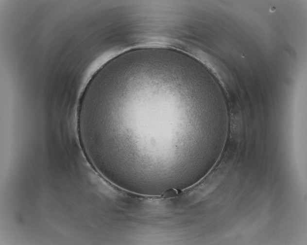 X0000111601480200907161543
