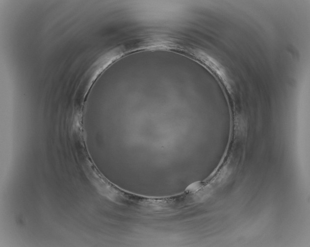 X0000111601481200907161543