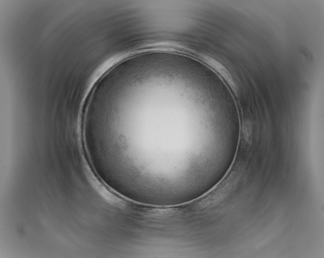 X0000111601482200907161543
