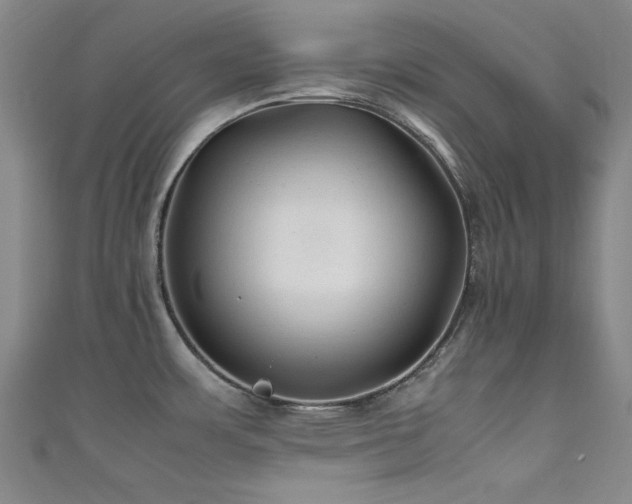 X0000111601483200907161543