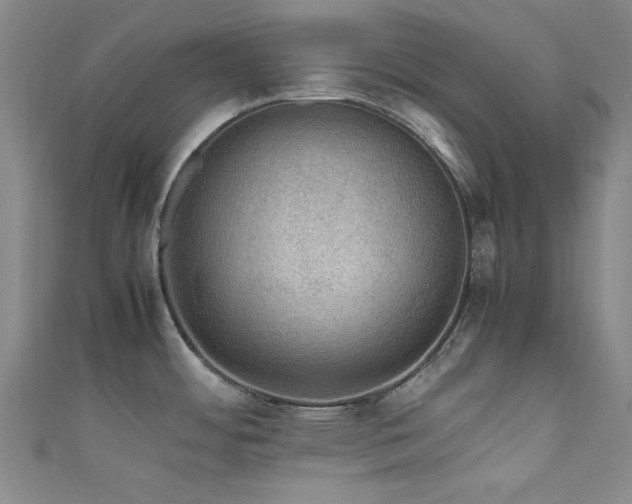 X0000111601484200907161543