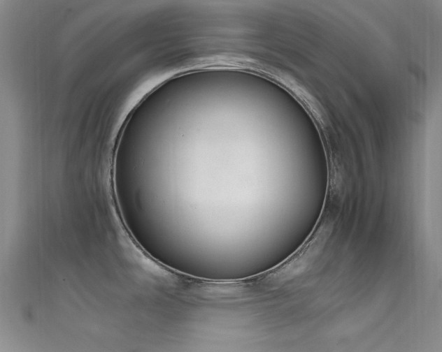 X0000111601486200907161543
