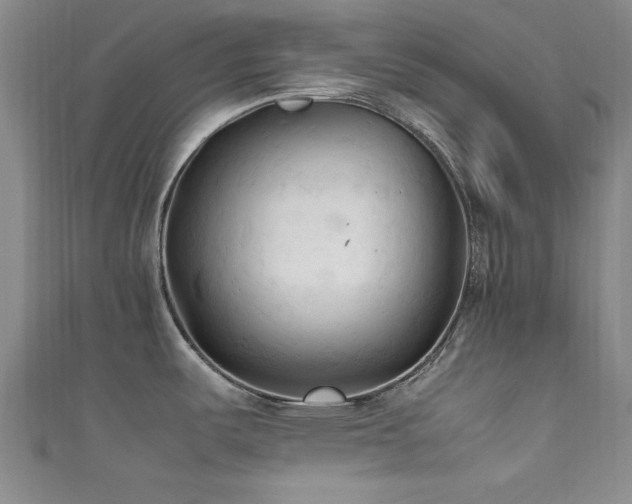 X0000111601487200907161543