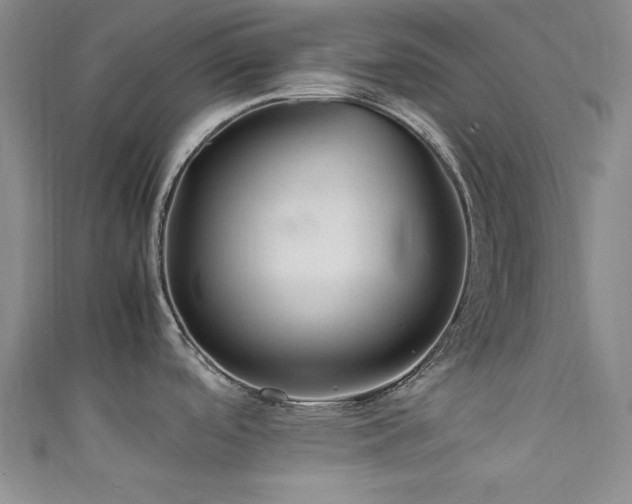 X0000111601488200907161543