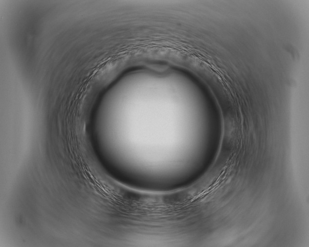 X0000111601489200907161542