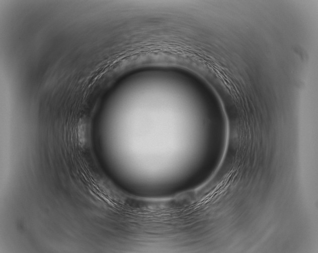 X0000111601490200907161542