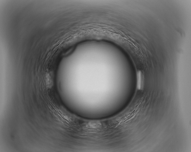 X0000111601491200907161542