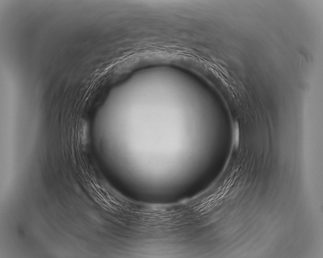X0000111601492200907161542