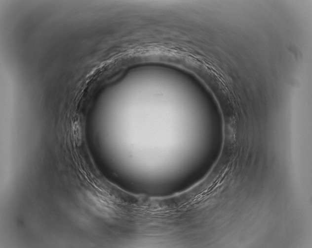 X0000111601493200907161542
