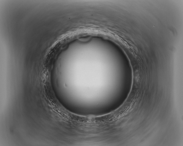 X0000111601495200907161542