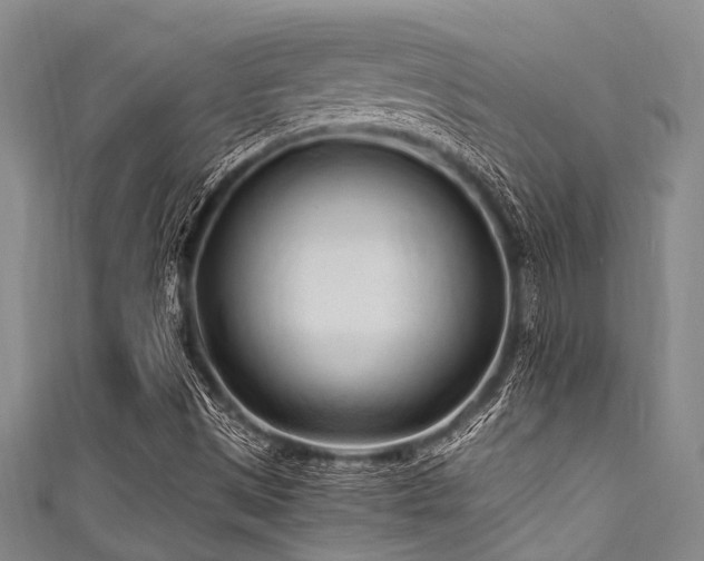 X0000111601497200907161542