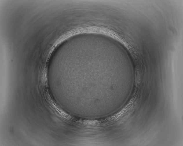 X0000111601498200907161542